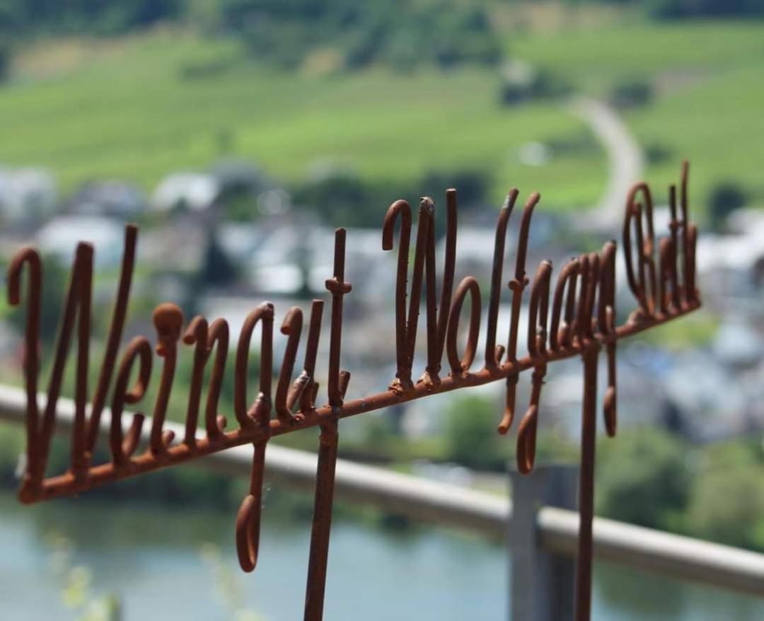 Weingut Und Gaestehaus Wolfgang Beth Kinheim 外观 照片